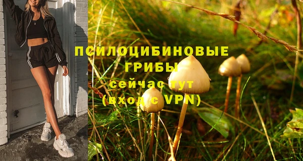 твердый Саяногорск