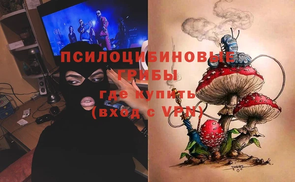твердый Саяногорск