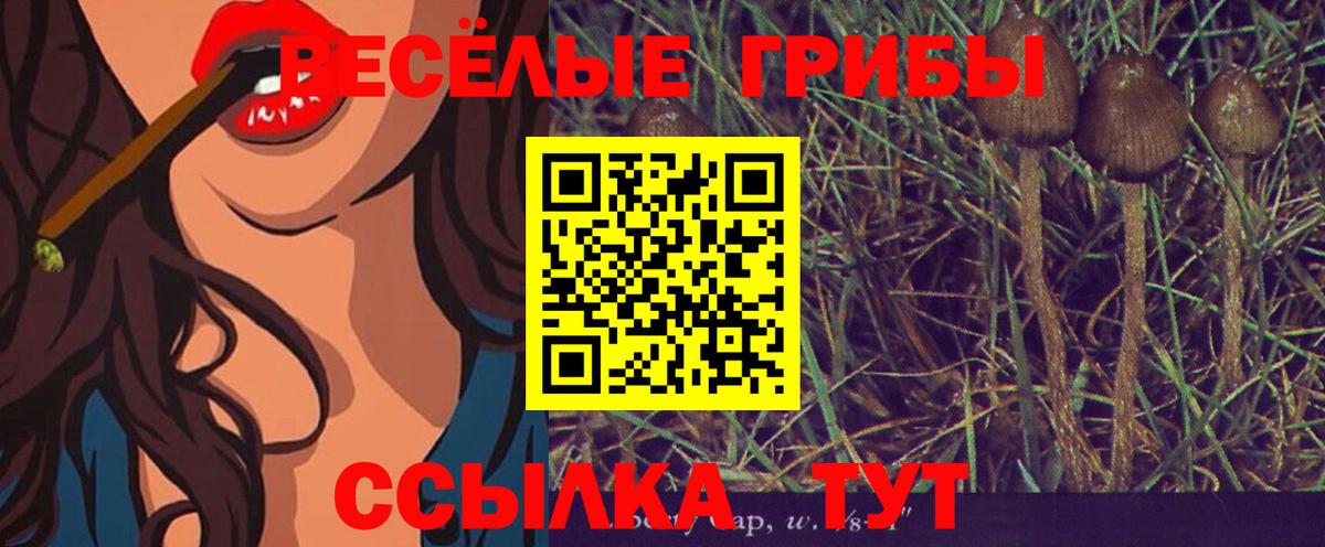 Псилоцибиновые грибы MAGIC MUSHROOMS  Бахчисарай  Галлюциногенные грибы Psilocybe 